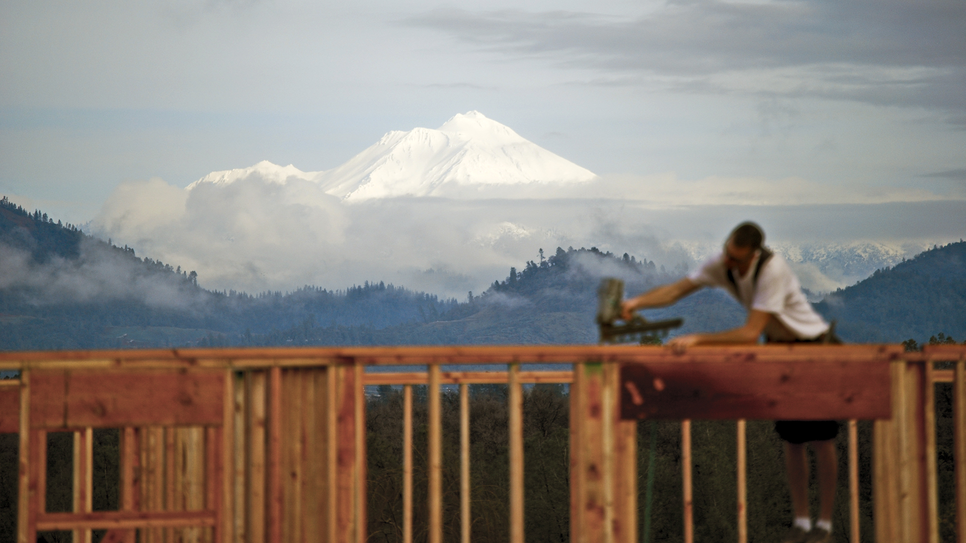 building-under-shasta